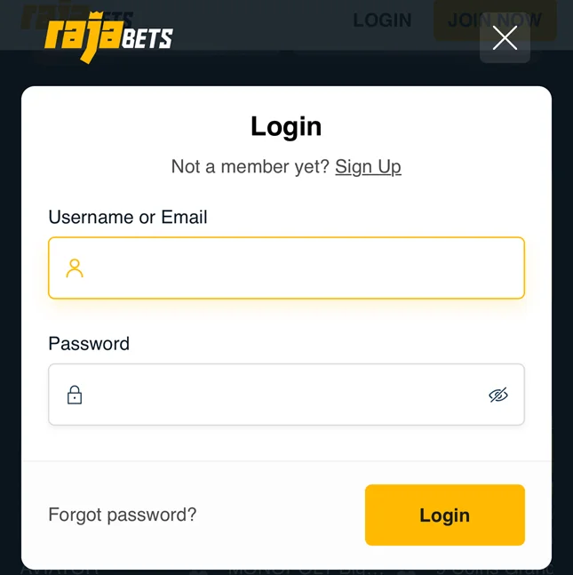 Download Rajabets Aviator Download Rajabets Aviator