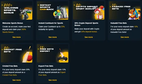 Rajabets cricket betting